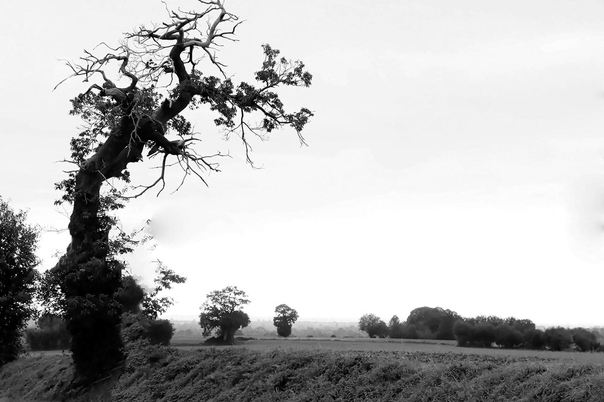 Mg 3796 dxo nb